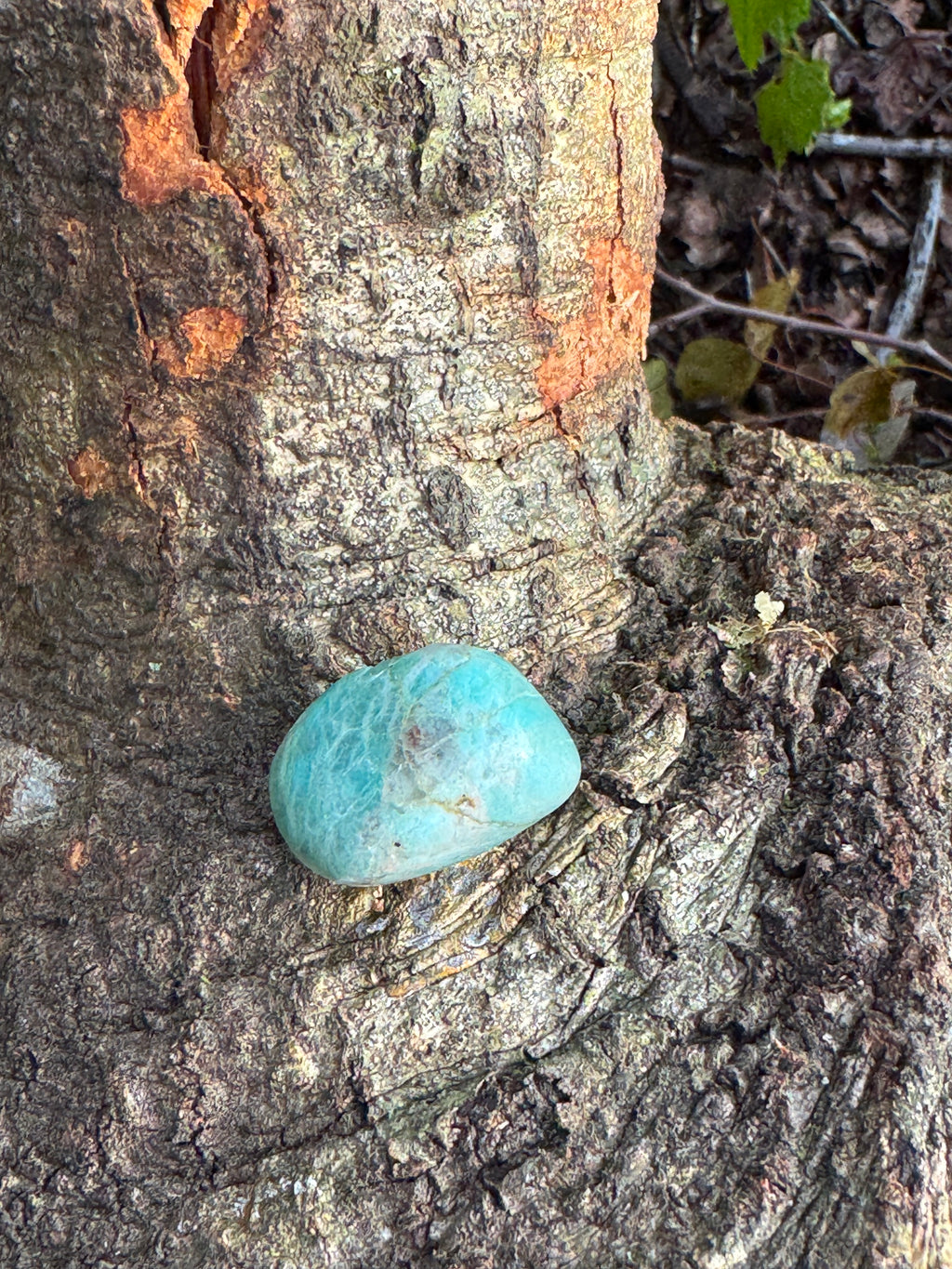 Amazonite