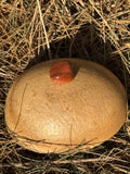 Goldstone