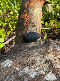 Tektite