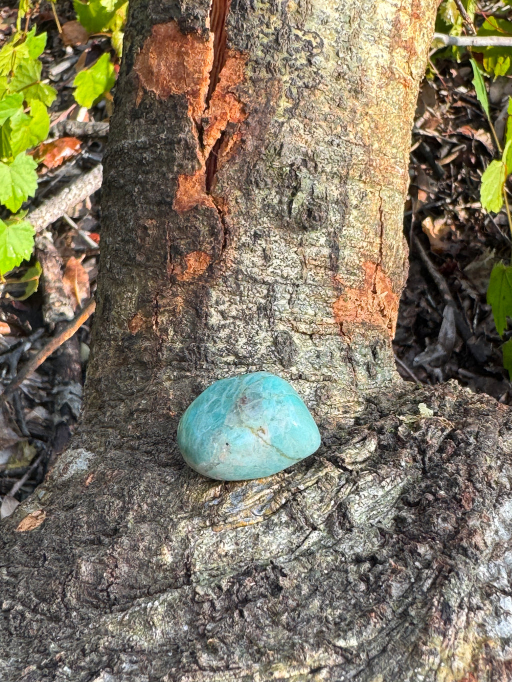 Amazonite