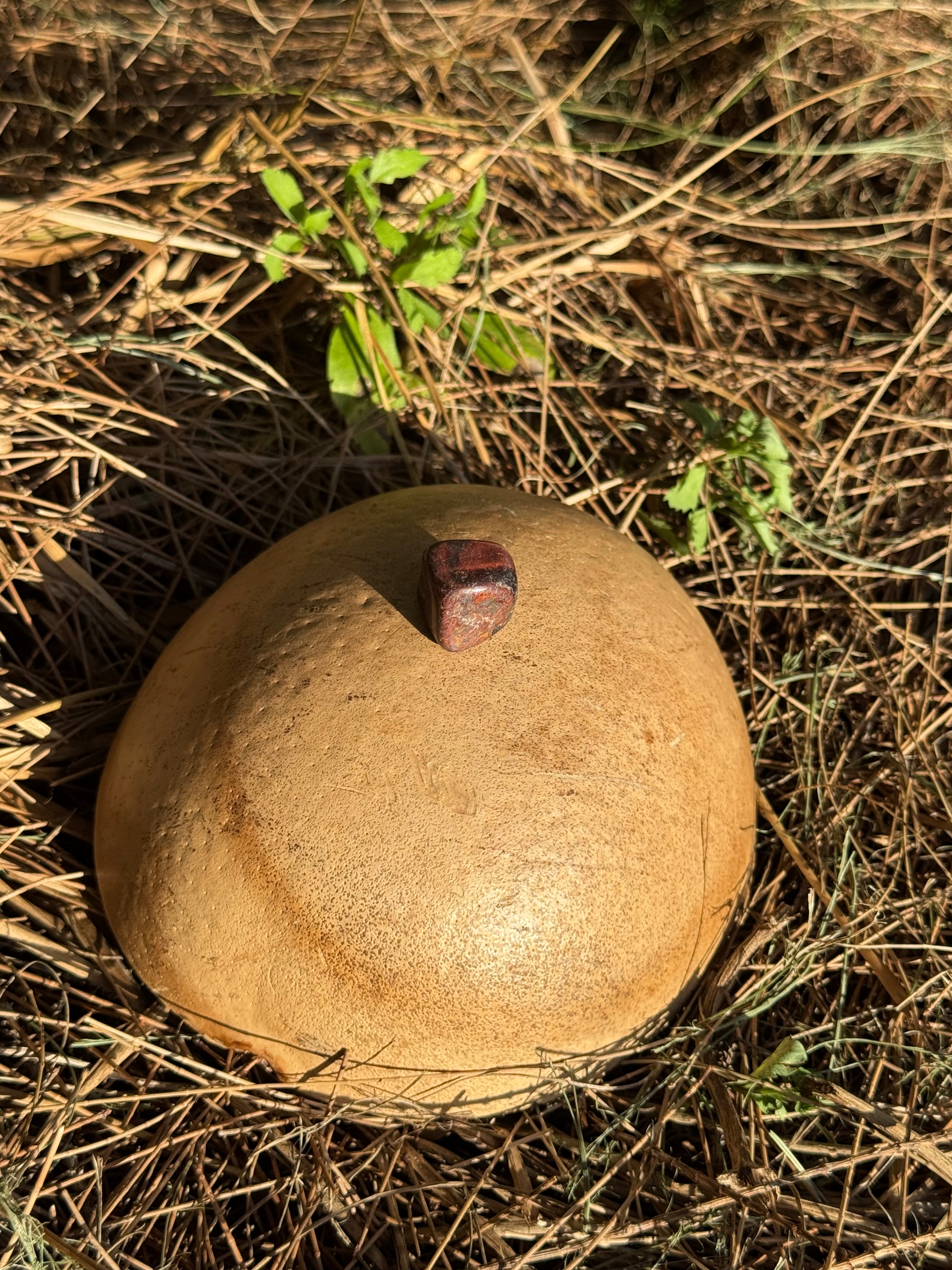 Red Tiger’s Eye