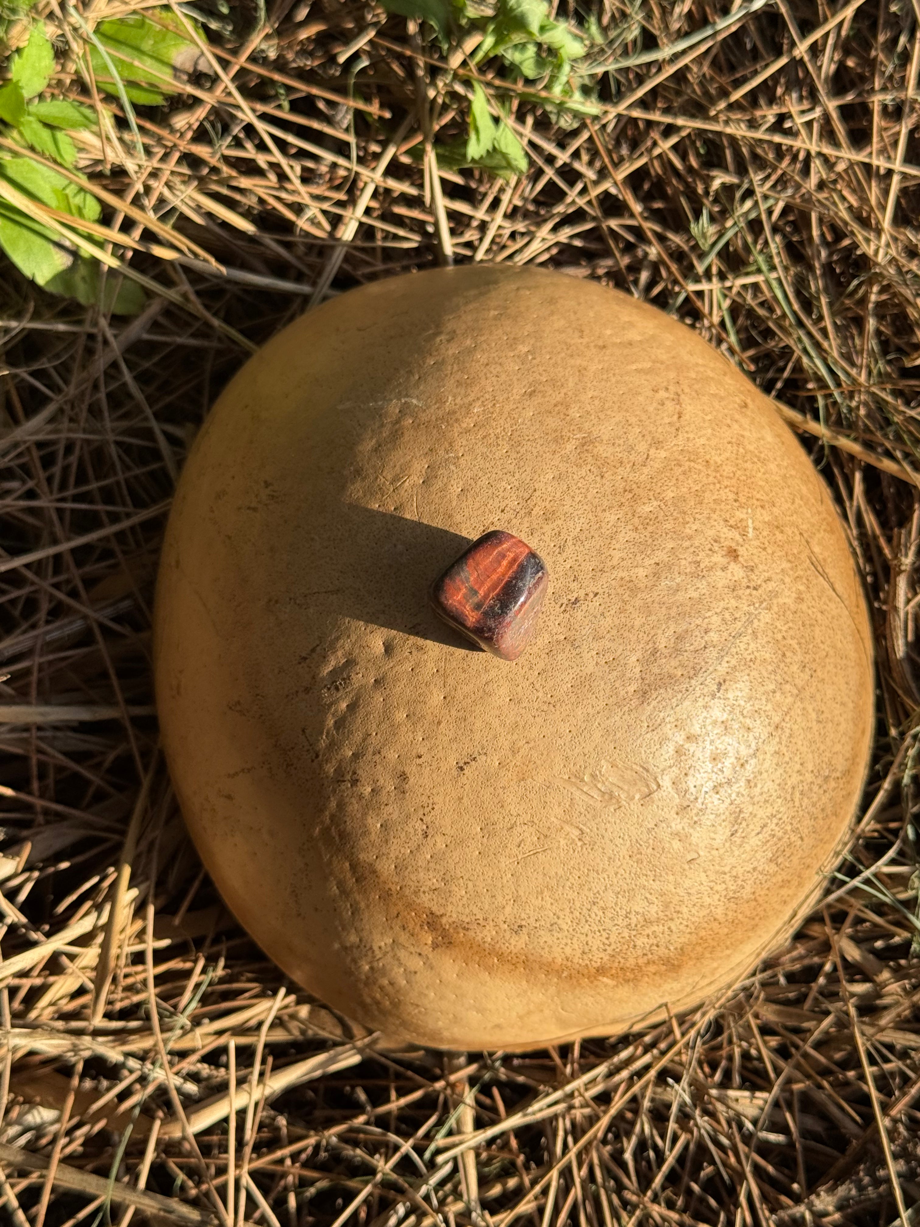 Red Tiger’s Eye