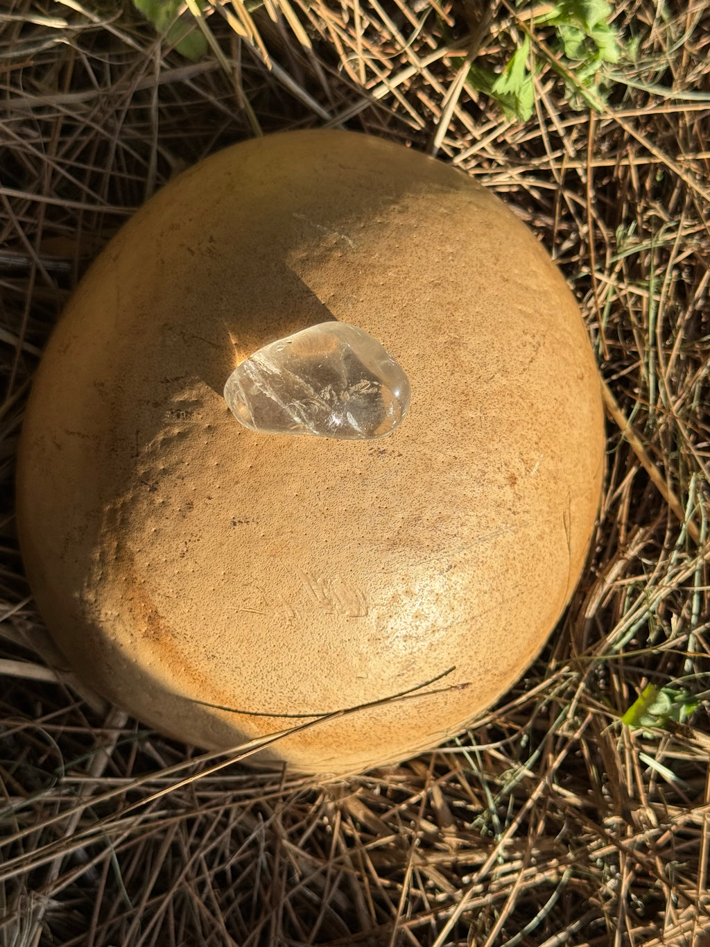 Smoky quartz