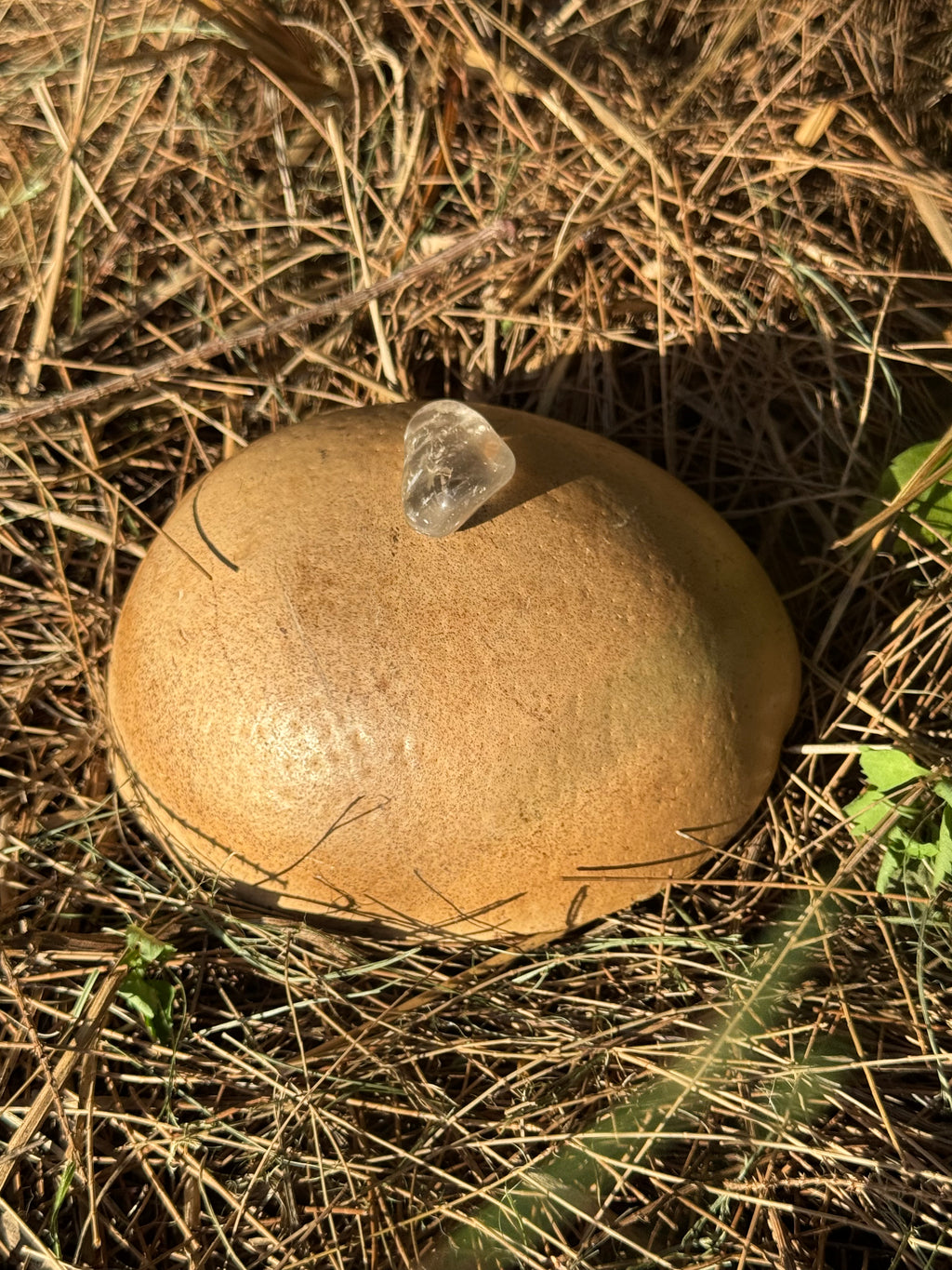 Smoky quartz
