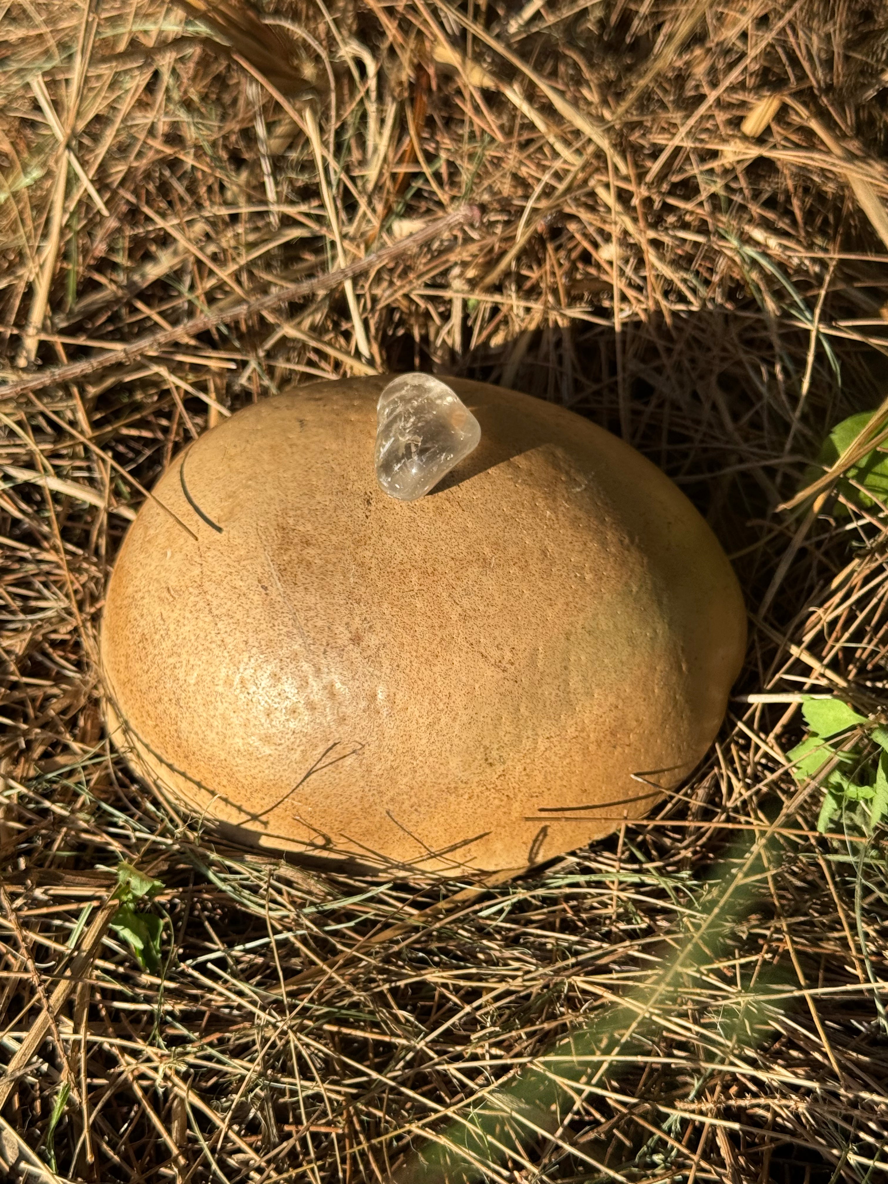 Smoky quartz