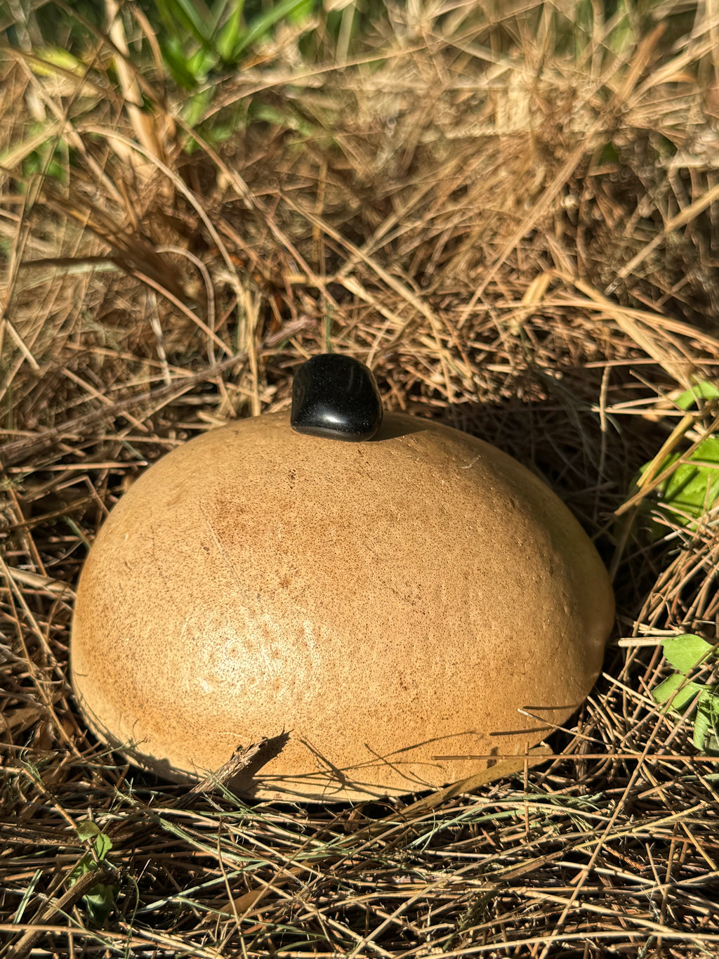 RAINBOW OBSIDIAN
