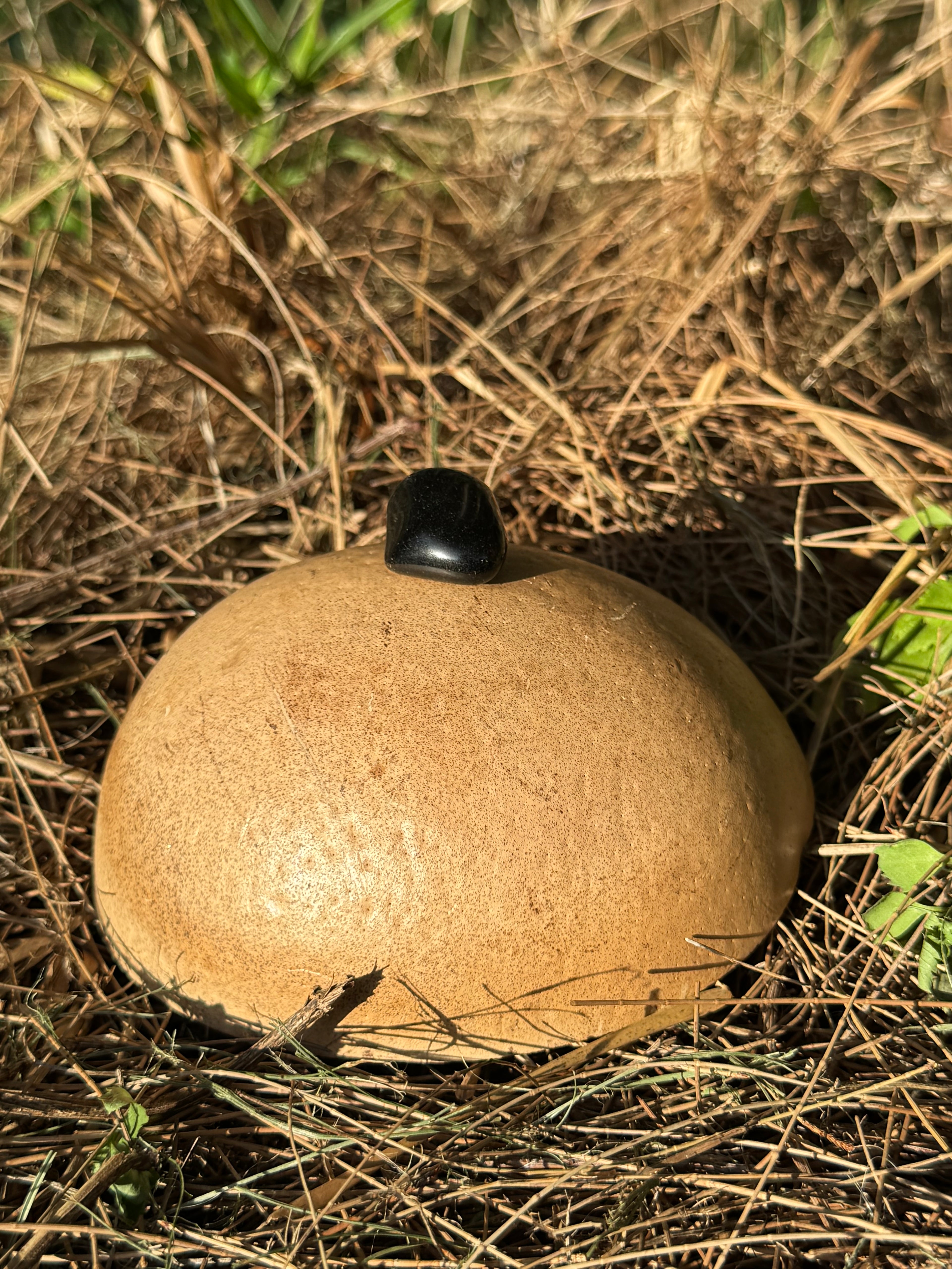 RAINBOW OBSIDIAN