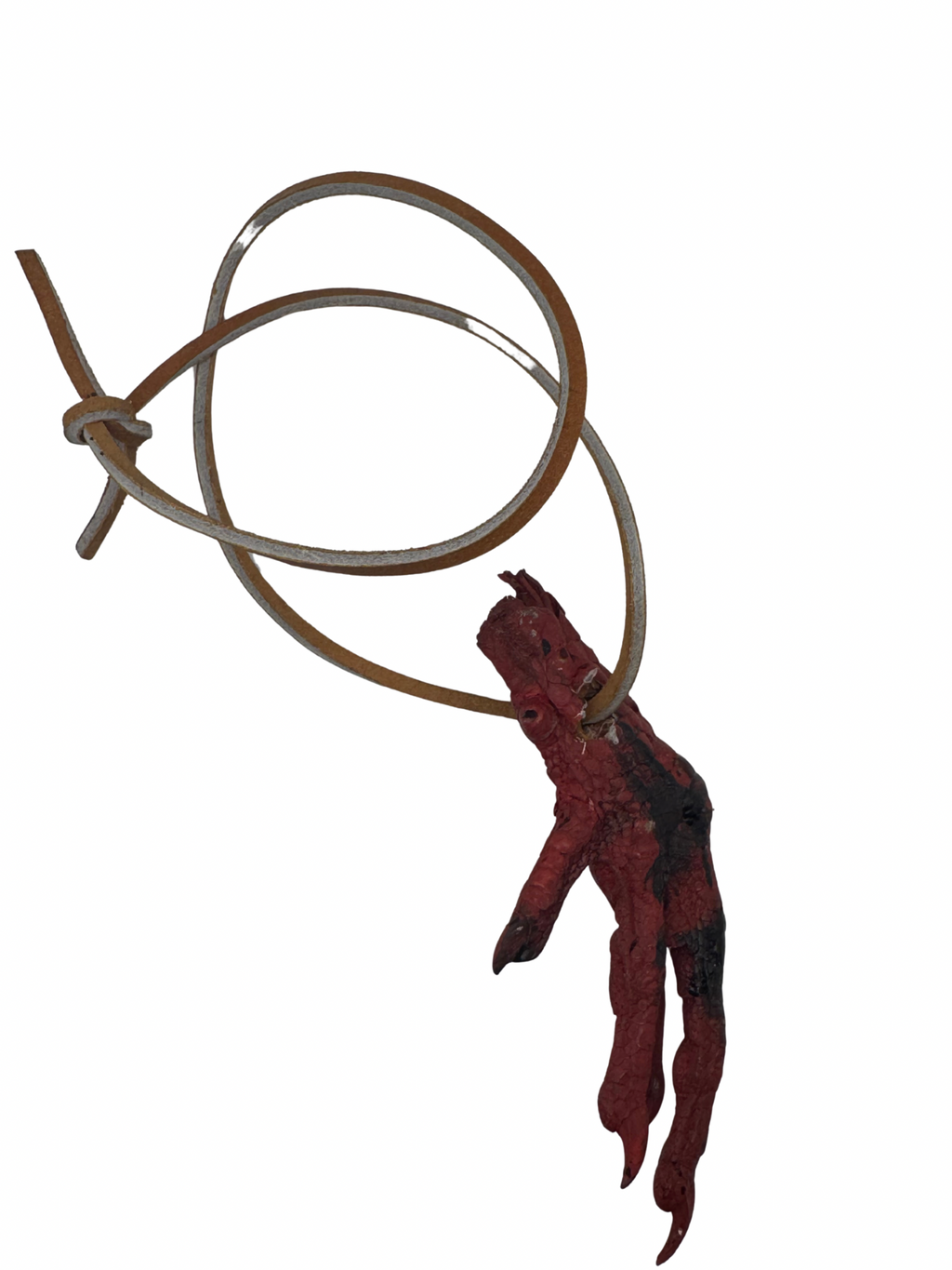 Protection/guard chicken foot