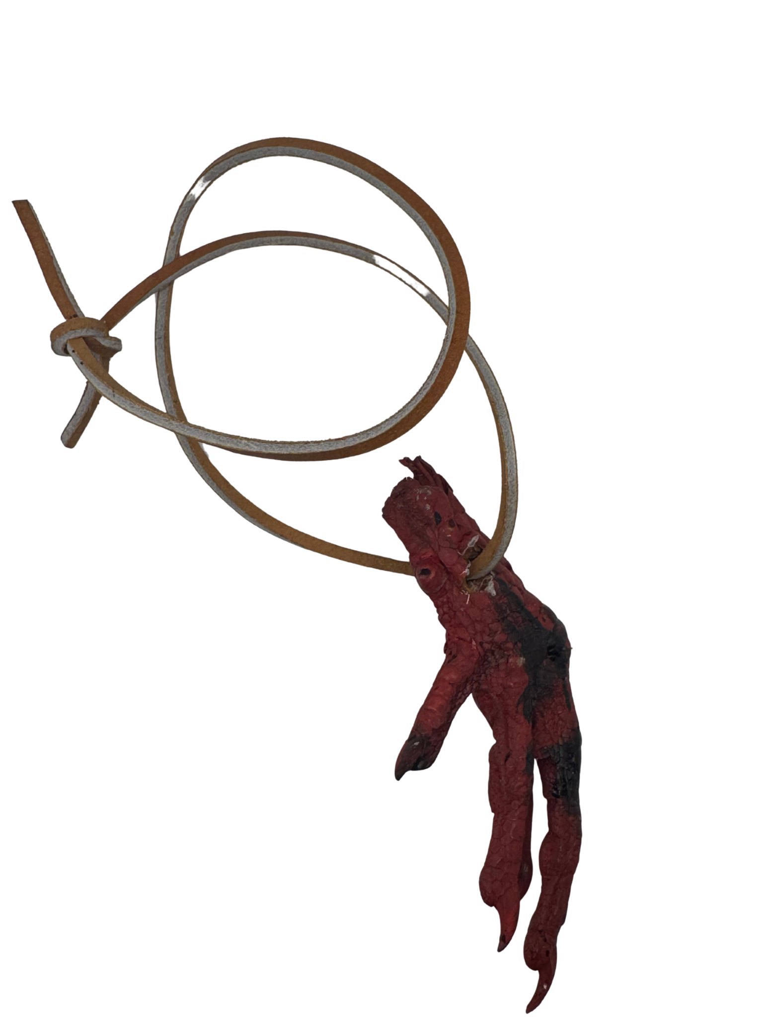 Protection/guard chicken foot
